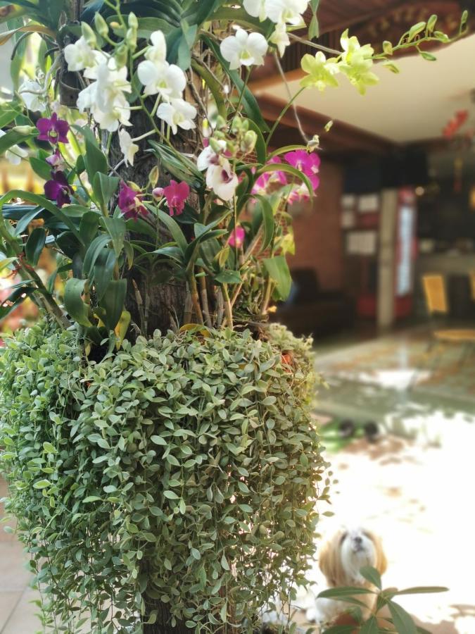 Tavee Guesthouse Bangkok Exterior foto